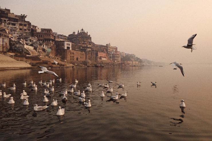 Rajasthan, India, 2014, color digital photography by Grégoire Saunier