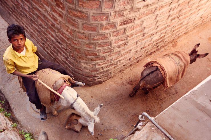 Rajasthan, India, 2014, color digital photography by Grégoire Saunier