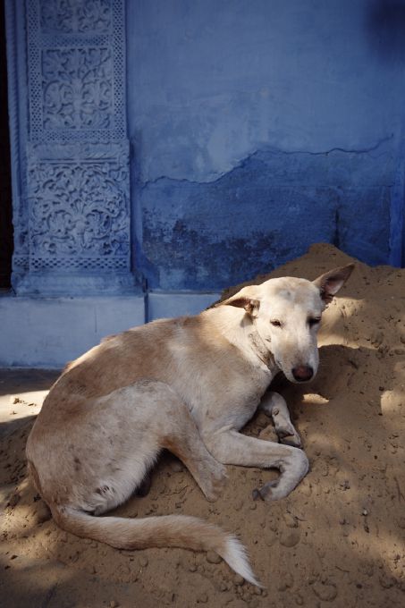 Rajasthan, India, 2014, color digital photography by Grégoire Saunier