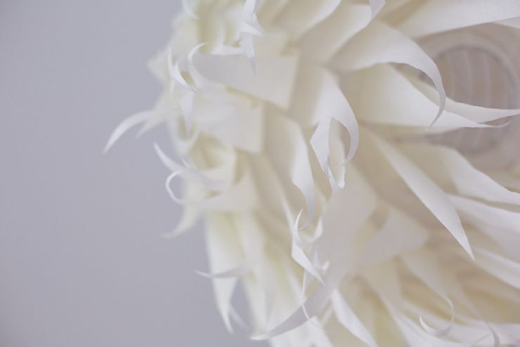 Ceilling Two by Grégoire Saunier